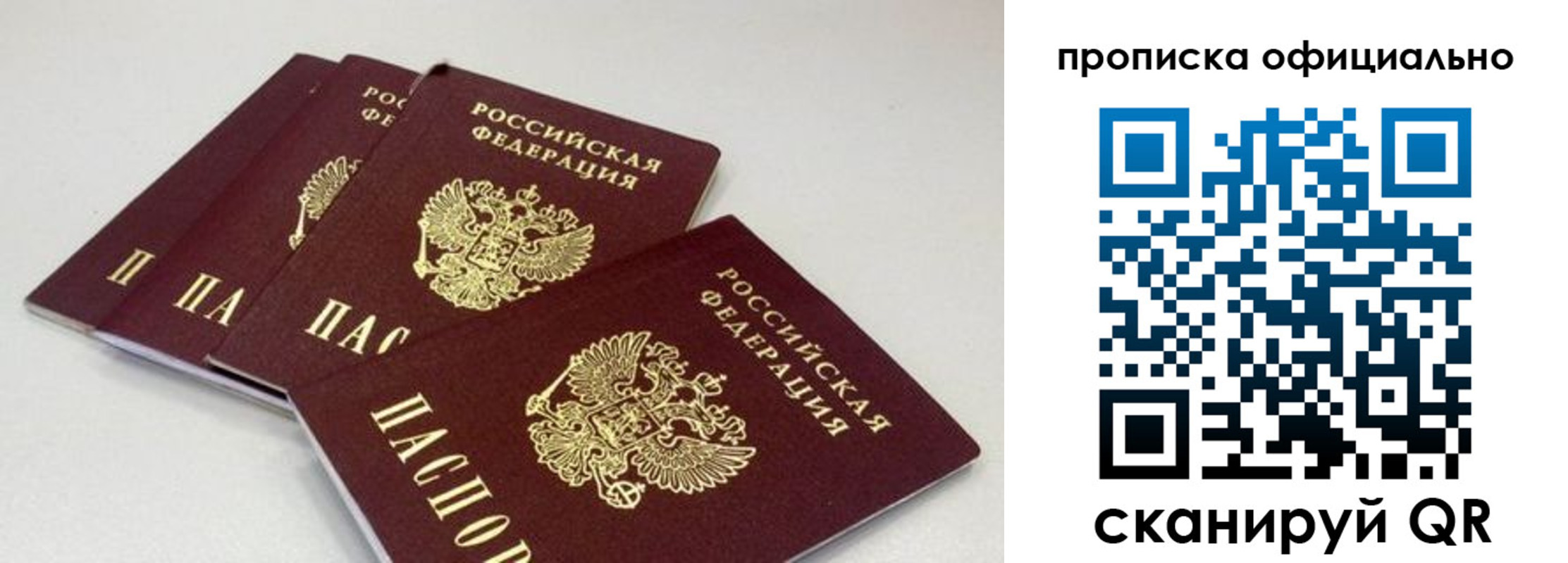 временная регистрация надежно в Звенигово
